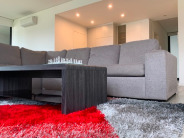 Renting out with online payment: Spacious Living Area