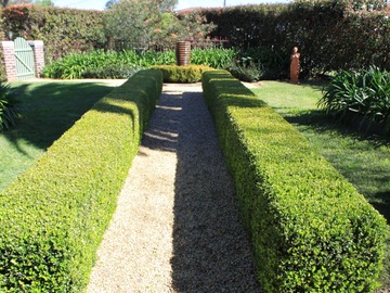 Renting out with online payment: Beautiful Hedge Pathway