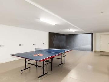Renting out with online payment: Recreation Room with Table Tennis Table
