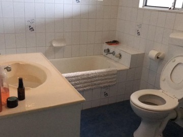 Renting out with online payment: Pristine Bathroom