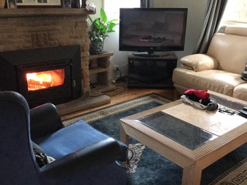 Renting out with online payment: Light-Filled Living Room with Fireplace