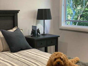 Renting out with online payment: Boy's Bedroom