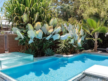 Renting out with online payment: Stunning Swimming Pool