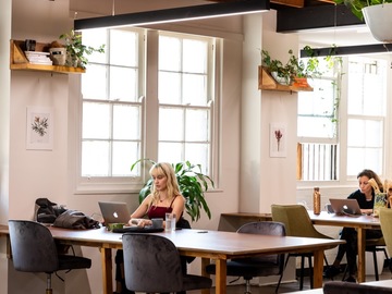 Renting out with online payment: Bright, Welcoming and Spacious Space