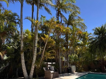 Renting out with online payment: Pool Area with limestone tiles and loungers